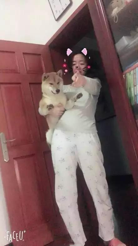 軟板廠之爸媽，我真的是你們親生的嗎？
