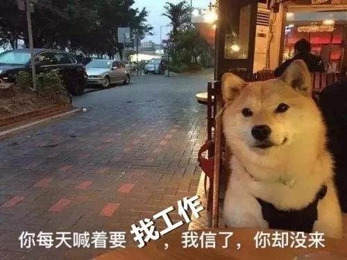 招聘 | 這是一道送錢題，有膽你就來！