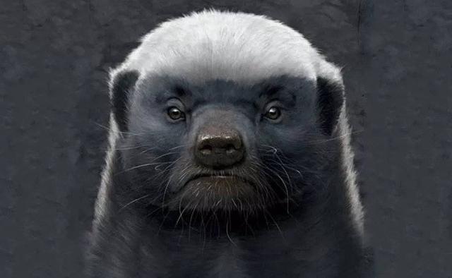 軟板廠之中國復興路上，最有擔當的三大公司